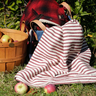 Ticking Stripe Organic Wool & Cotton Throw